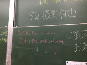 以前の駒場祭の様子